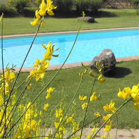 Apartment Rustico, Wifi, Perugia Colle (Terni)