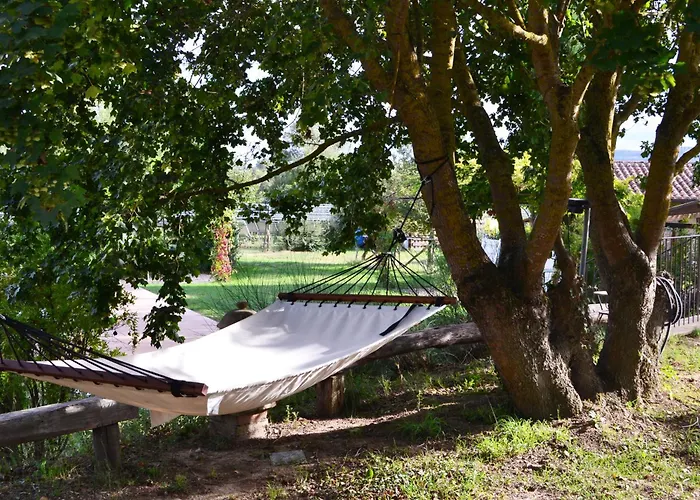 Rustico, Wifi, Perugia